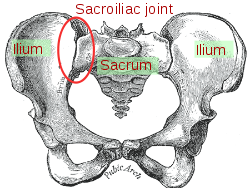 Sacroiliac joints