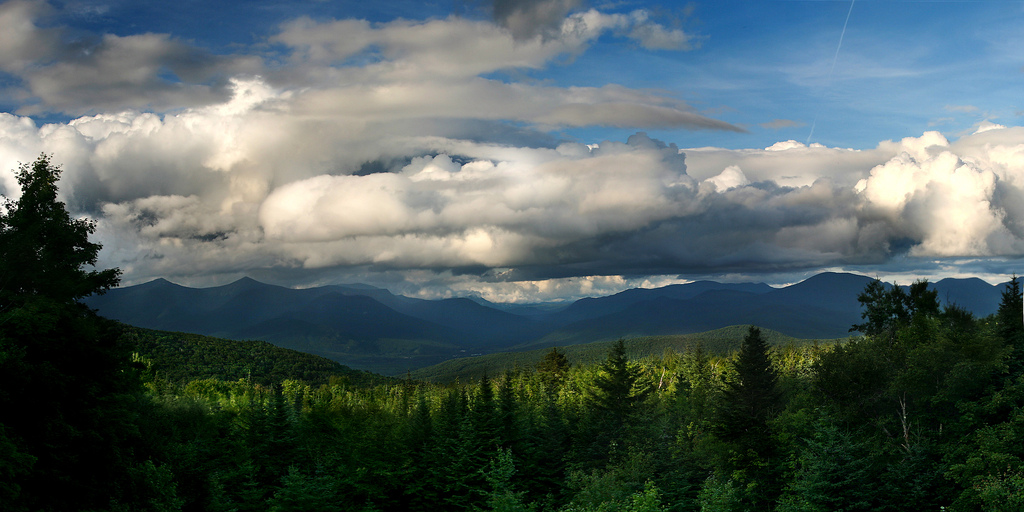 3753038139_0eecbded3d_b